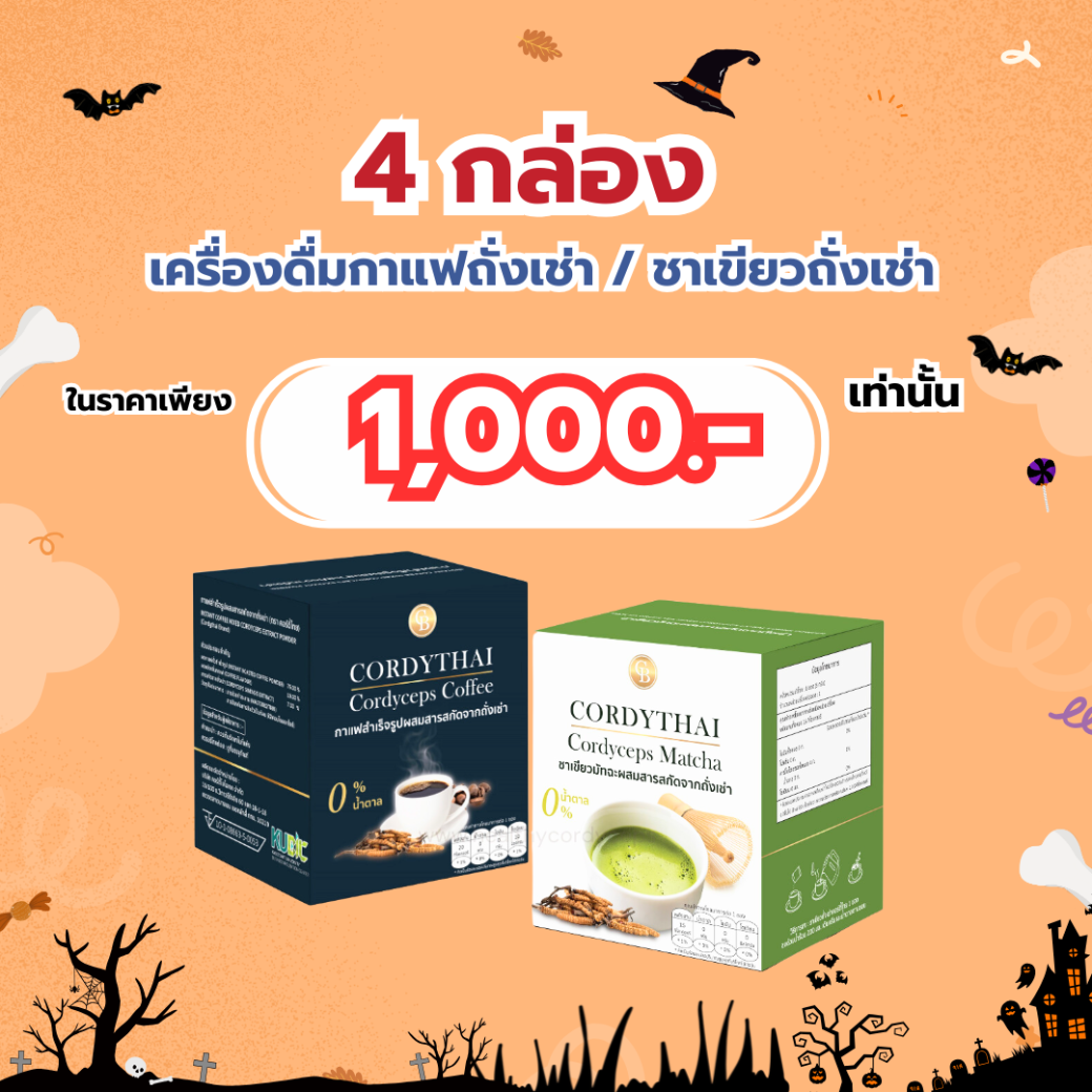 popwellkhaydee.com – 2025-10-01T103834.019