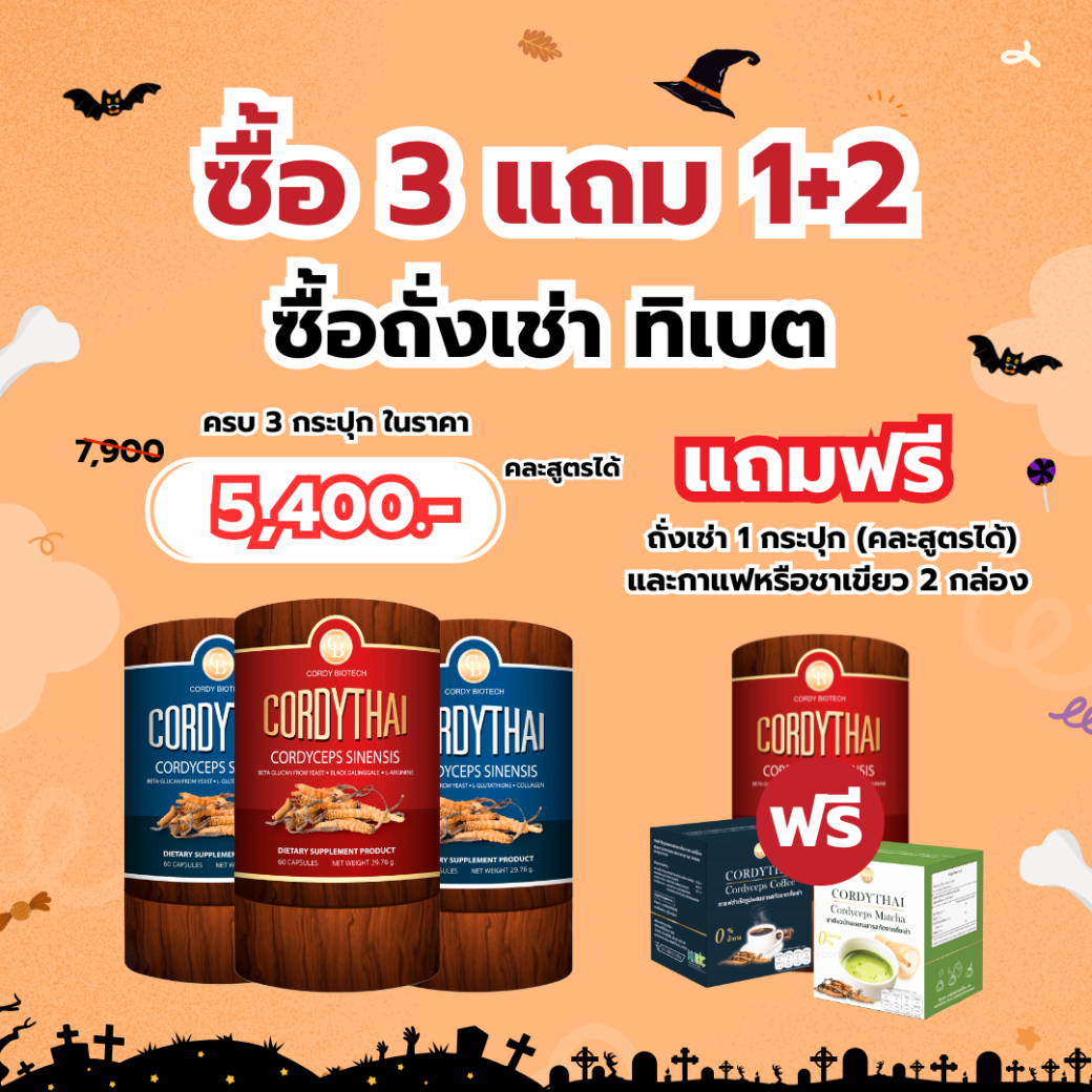 popwellkhaydee.com – 2025-10-01T103847.662